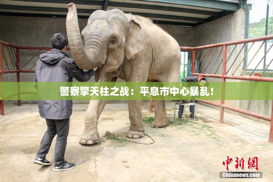 警察擎天柱之战：平息市中心暴乱！