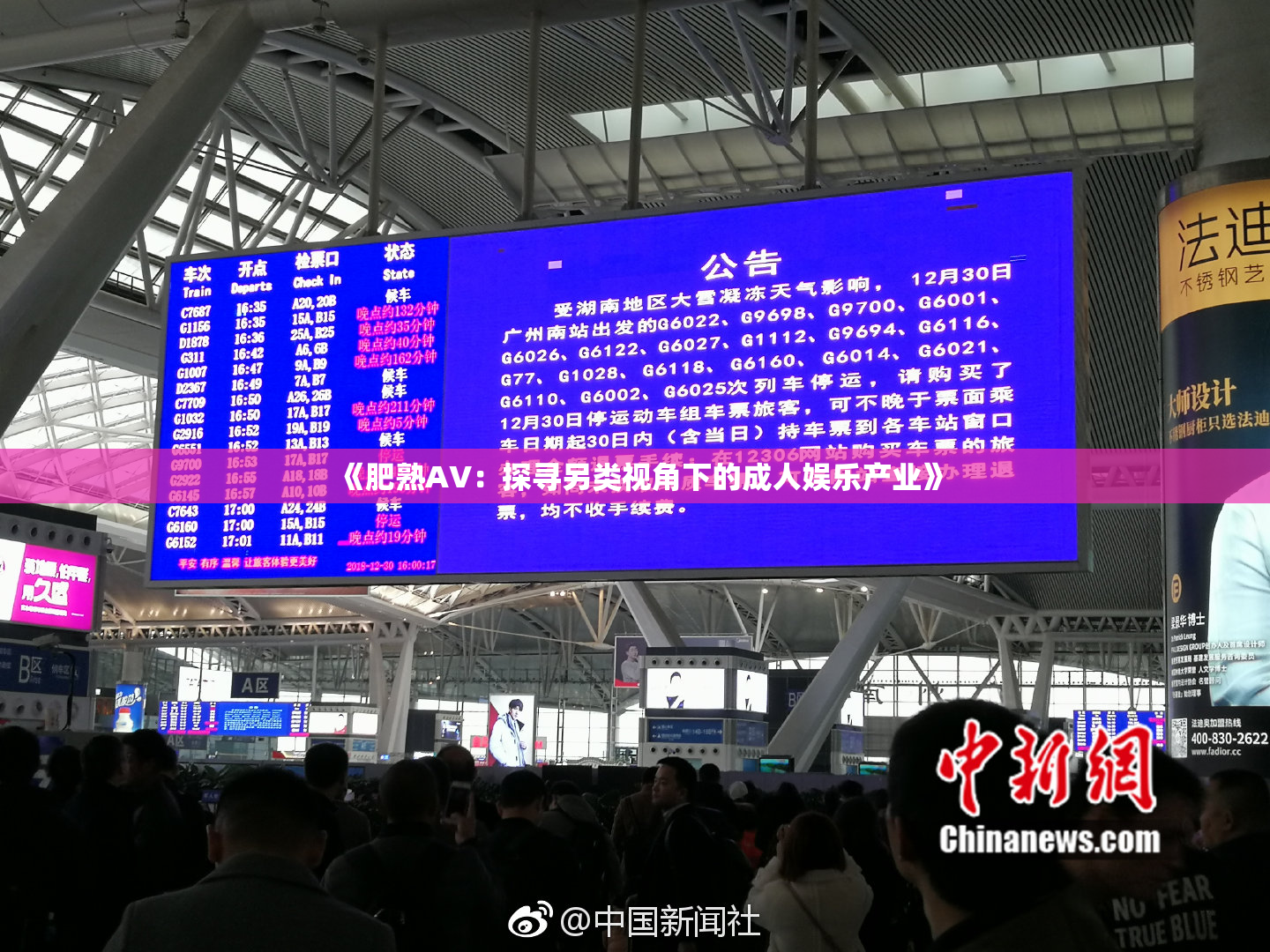 《肥熟AV：探寻另类视角下的成人娱乐产业》