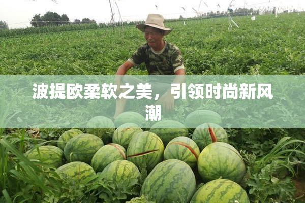 波提欧柔软之美，引领时尚新风潮