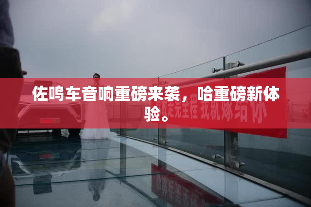 佐鸣车音响重磅来袭，哈重磅新体验。