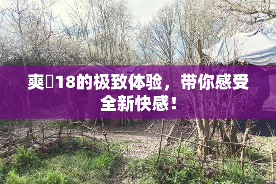 爽擼18的极致体验，带你感受全新快感！