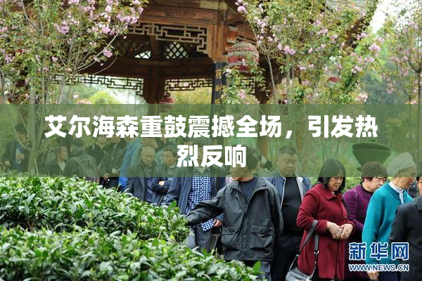 艾尔海森重鼓震撼全场，引发热烈反响