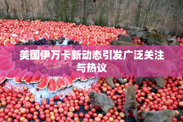 美国伊万卡新动态引发广泛关注与热议