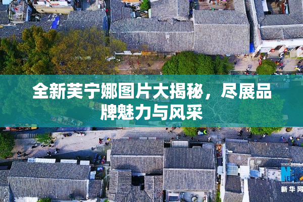 全新芙宁娜图片大揭秘，尽展品牌魅力与风采