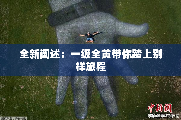 全新阐述：一级全黄带你踏上别样旅程