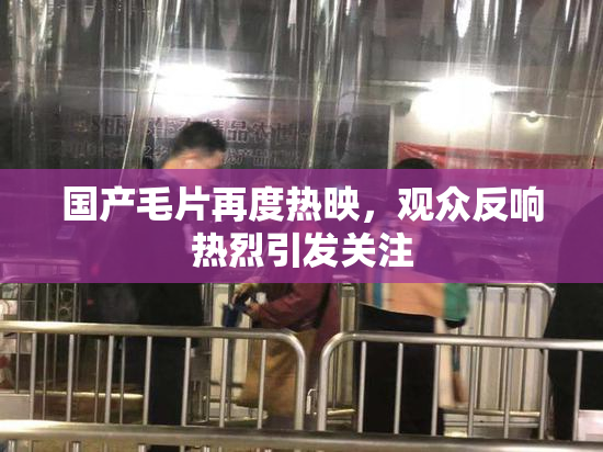 国产毛片再度热映，观众反响热烈引发关注