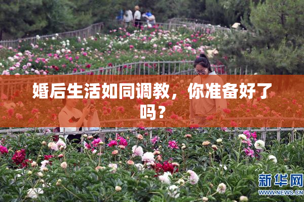 婚后生活如同调教，你准备好了吗？