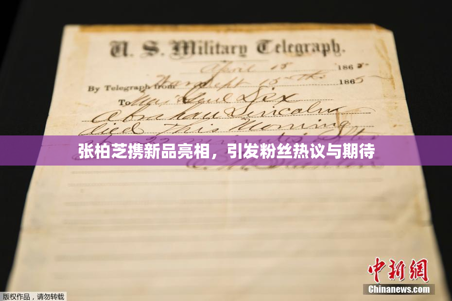 张柏芝携新品亮相，引发粉丝热议与期待