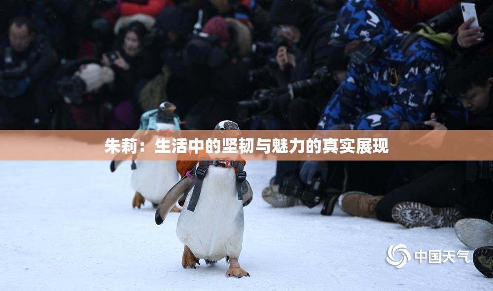 朱莉：生活中的坚韧与魅力的真实展现
