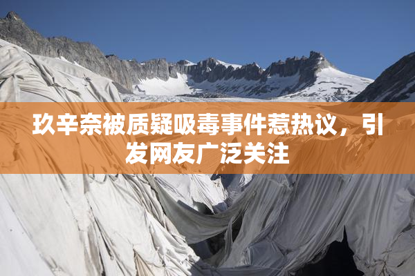 玖辛奈被质疑吸毒事件惹热议，引发网友广泛关注