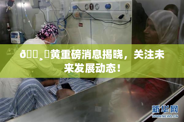 🌸‌黄重磅消息揭晓，关注未来发展动态！
