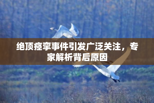 绝顶痉挛事件引发广泛关注，专家解析背后原因