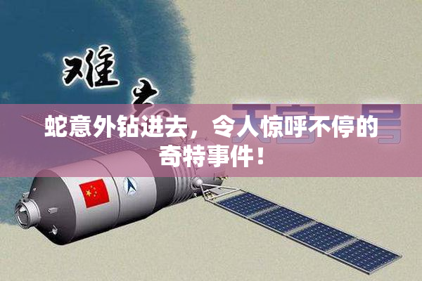 蛇意外钻进去，令人惊呼不停的奇特事件！