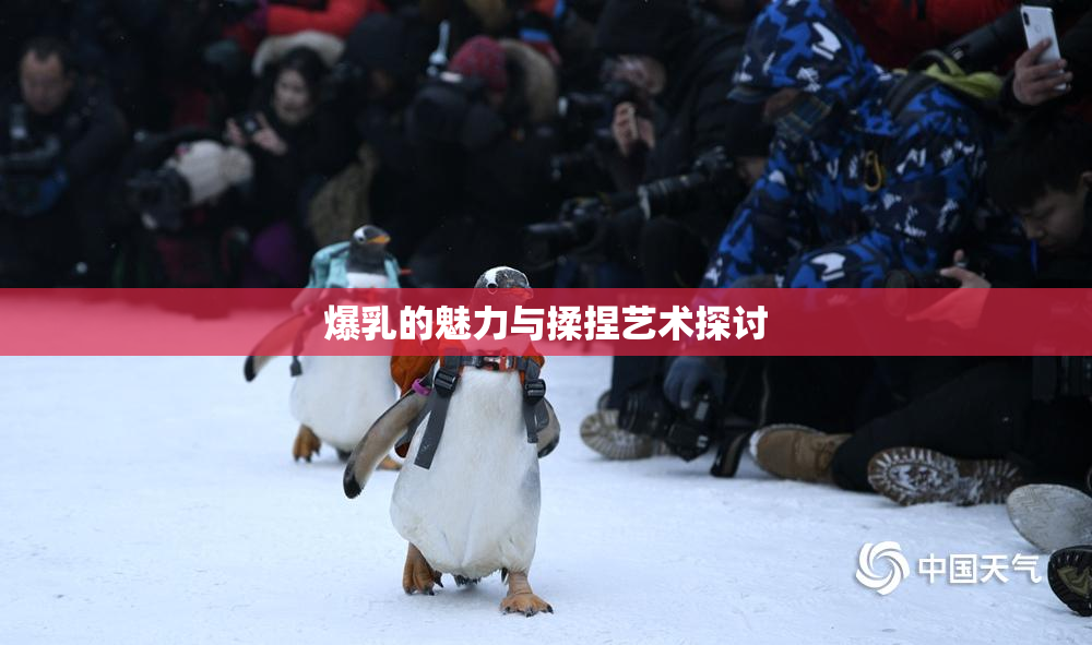 爆乳的魅力与揉捏艺术探讨