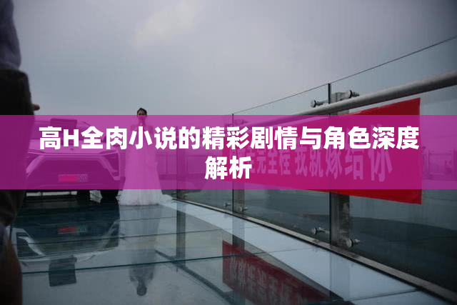 高H全肉小说的精彩剧情与角色深度解析
