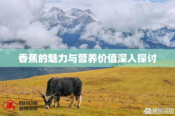 香蕉的魅力与营养价值深入探讨