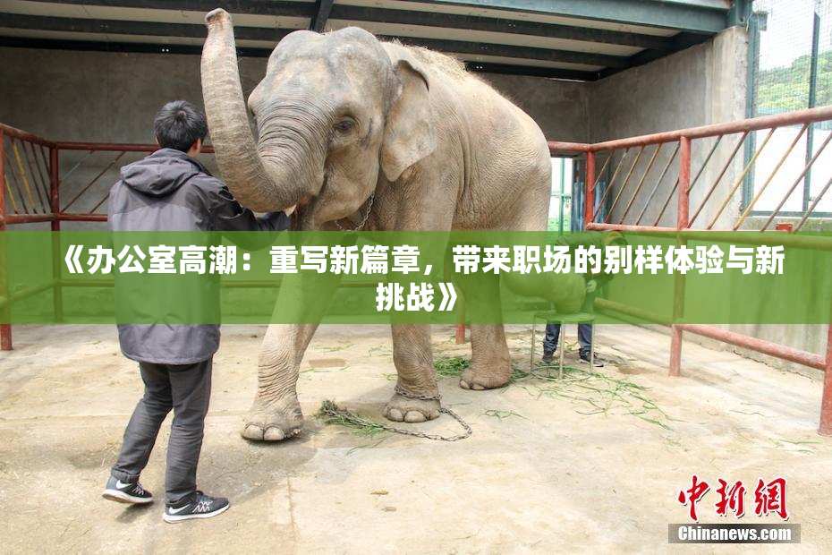 《办公室高潮：重写新篇章，带来职场的别样体验与新挑战》