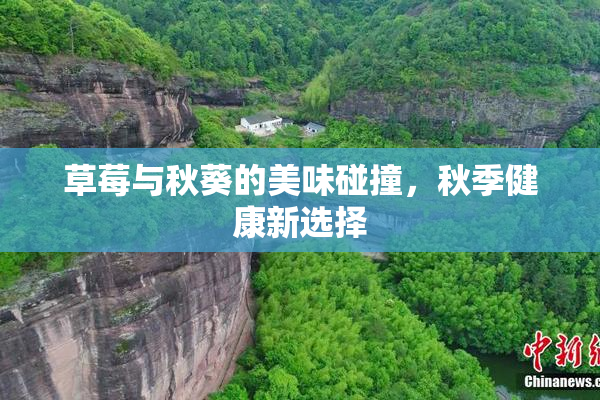 草莓与秋葵的美味碰撞，秋季健康新选择