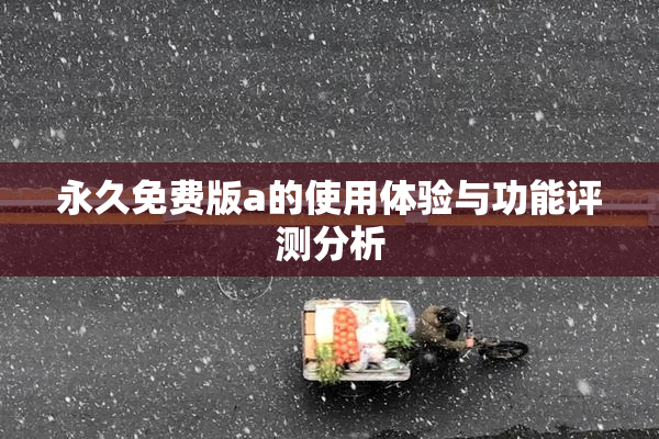 永久免费版a的使用体验与功能评测分析