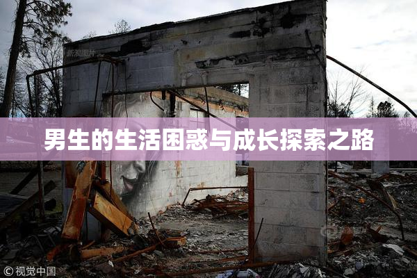 男生的生活困惑与成长探索之路