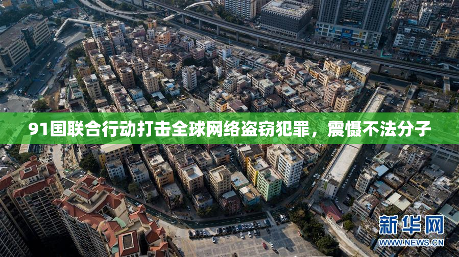 91国联合行动打击全球网络盗窃犯罪，震慑不法分子