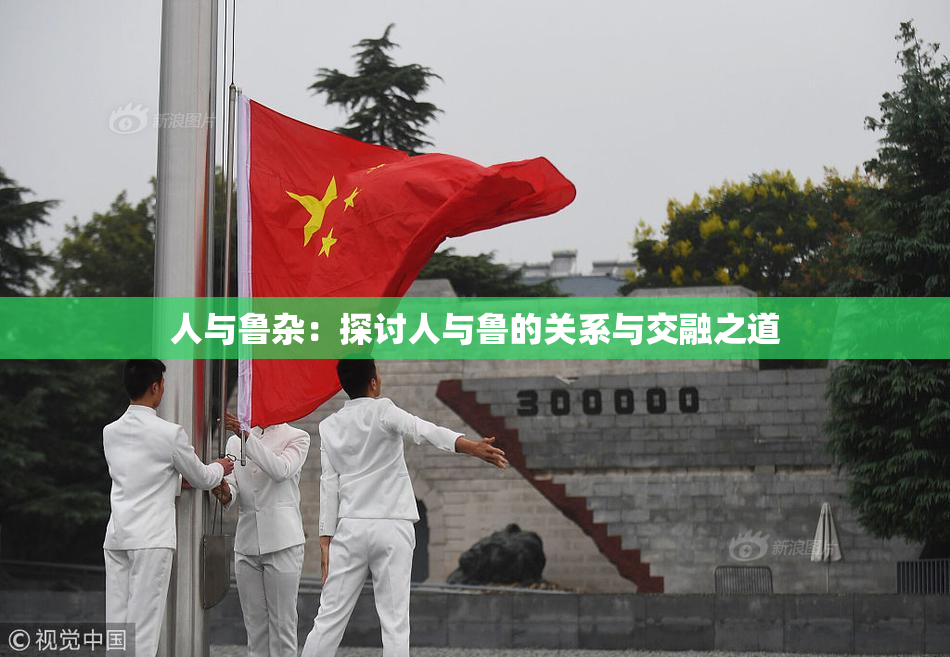 人与鲁杂：探讨人与鲁的关系与交融之道