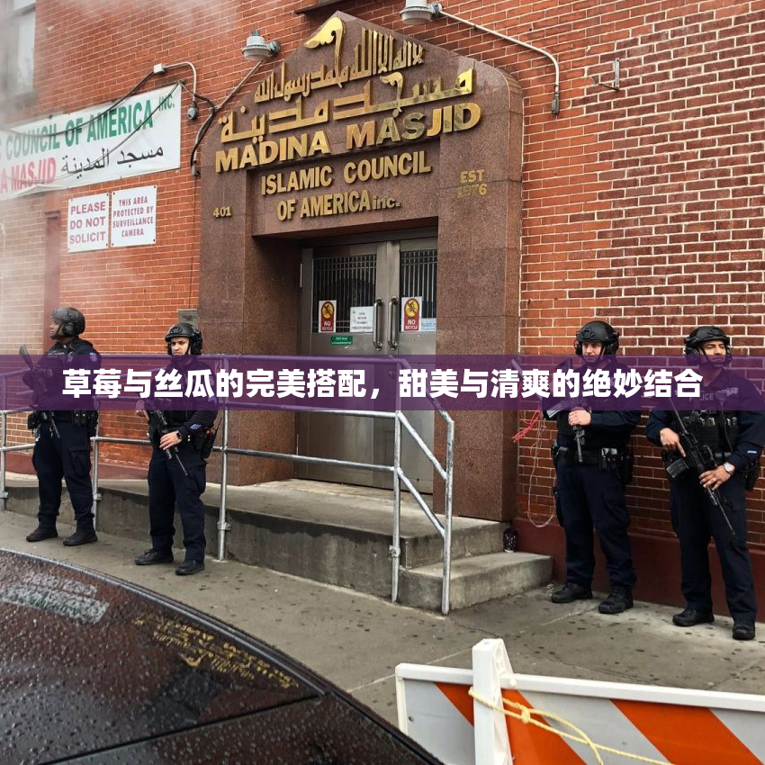草莓与丝瓜的完美搭配，甜美与清爽的绝妙结合