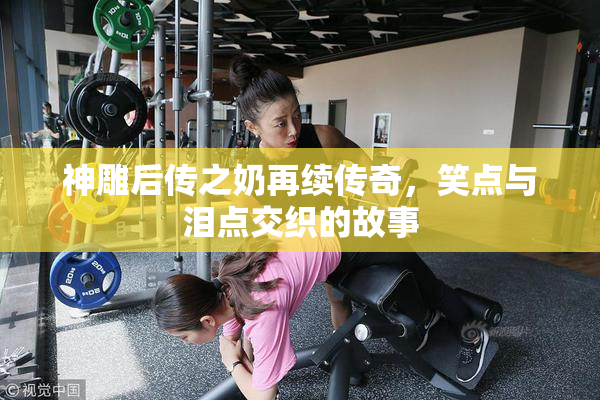 神雕后传之奶再续传奇，笑点与泪点交织的故事