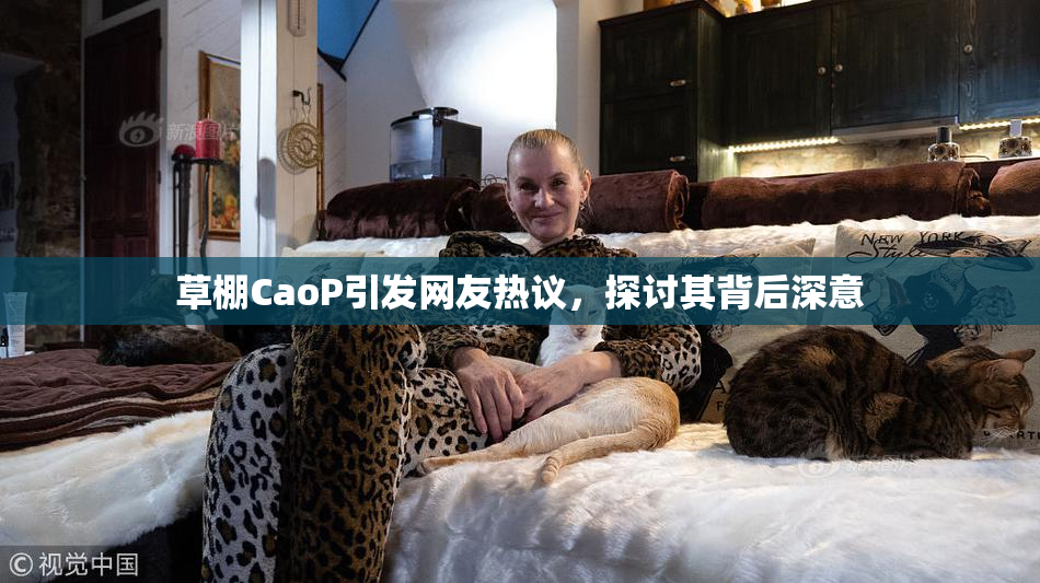 草棚CaoP引发网友热议，探讨其背后深意