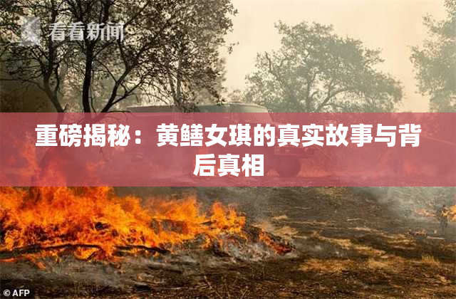 重磅揭秘：黄鳝女琪的真实故事与背后真相