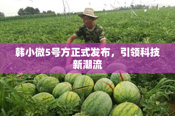 韩小微5号方正式发布，引领科技新潮流