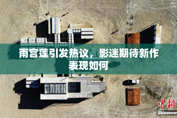 雨宫莲引发热议，影迷期待新作表现如何