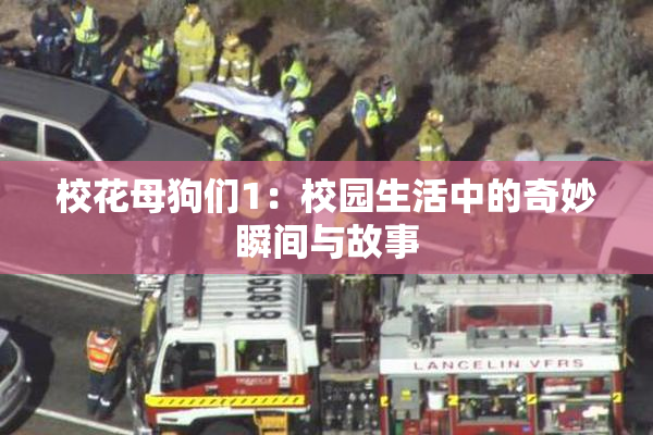 校花母狗们1：校园生活中的奇妙瞬间与故事