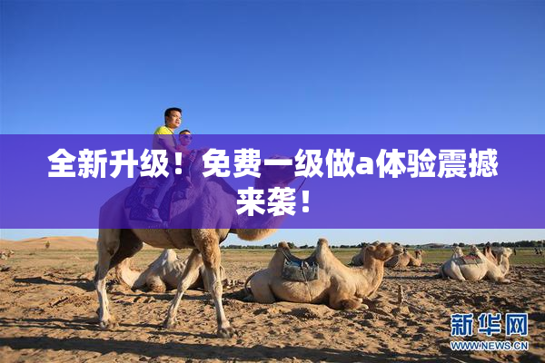 全新升级！免费一级做a体验震撼来袭！