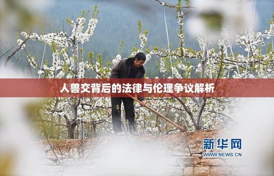人兽交背后的法律与伦理争议解析