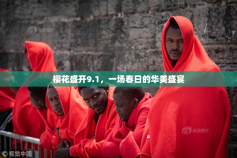 樱花盛开9.1，一场春日的华美盛宴