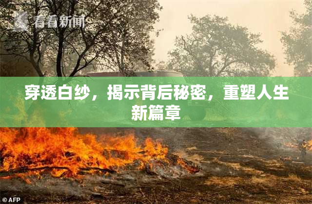 穿透白纱，揭示背后秘密，重塑人生新篇章