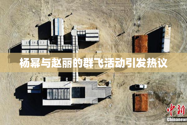 杨幂与赵丽的群飞活动引发热议