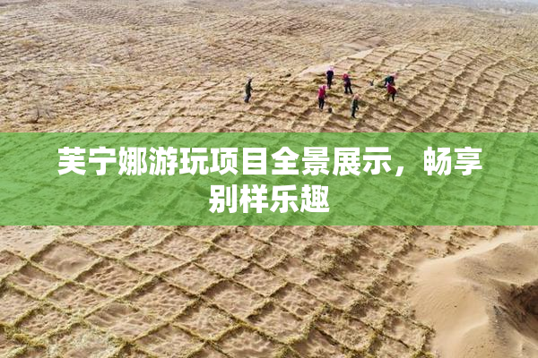 芙宁娜游玩项目全景展示，畅享别样乐趣