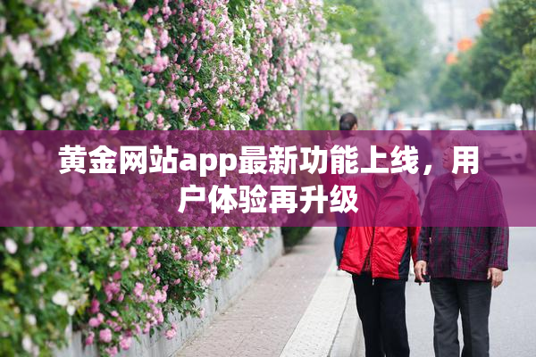 黄金网站app最新功能上线，用户体验再升级