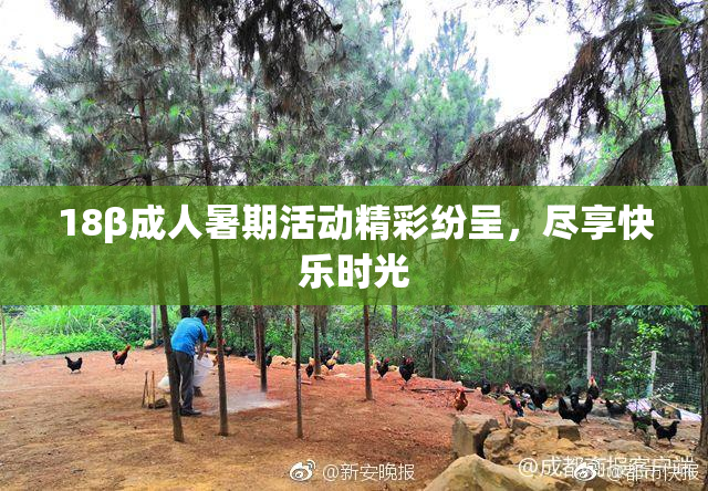 18β成人暑期活动精彩纷呈，尽享快乐时光