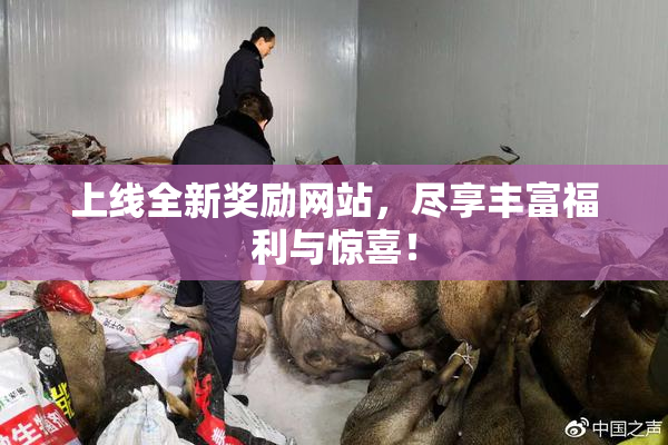 上线全新奖励网站，尽享丰富福利与惊喜！