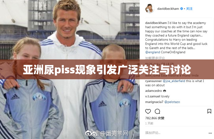 亚洲尿piss现象引发广泛关注与讨论