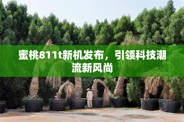 蜜桃811t新机发布，引领科技潮流新风尚