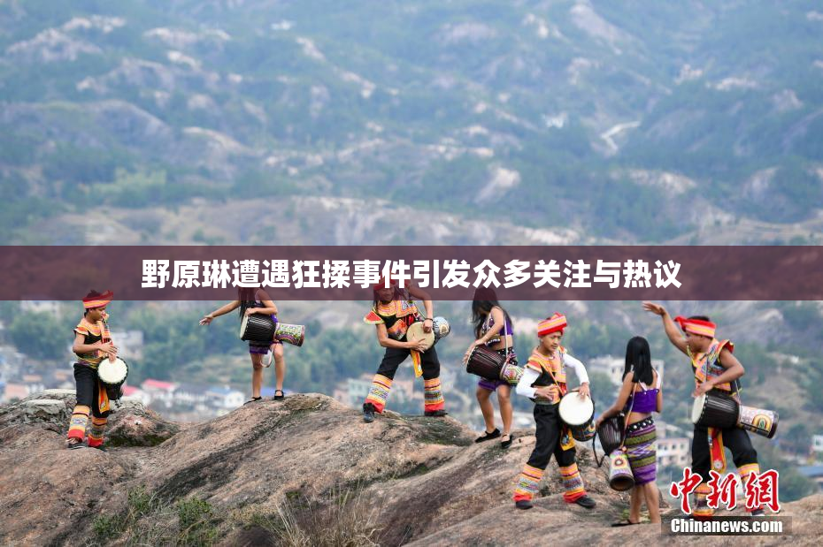 野原琳遭遇狂揉事件引发众多关注与热议