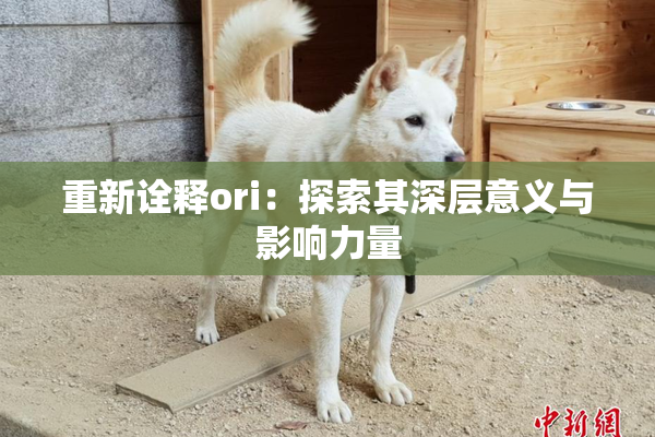 重新诠释ori：探索其深层意义与影响力量