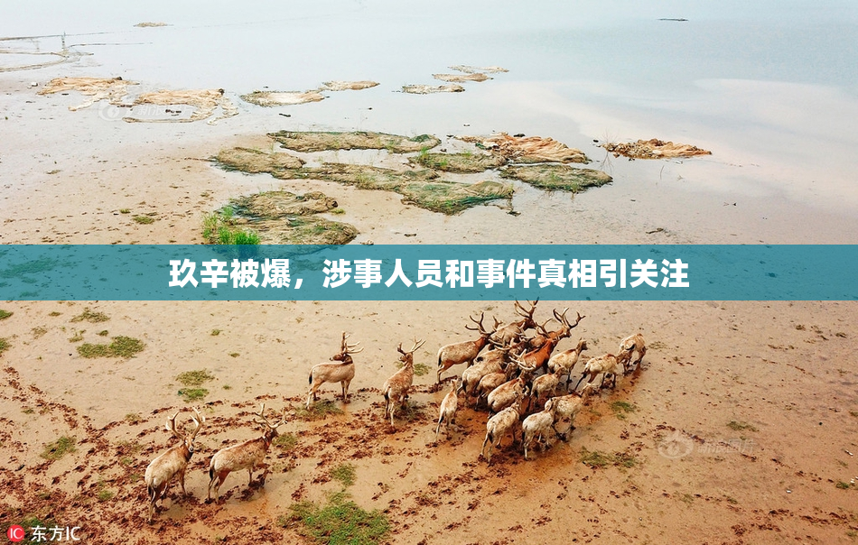 玖辛被爆，涉事人员和事件真相引关注