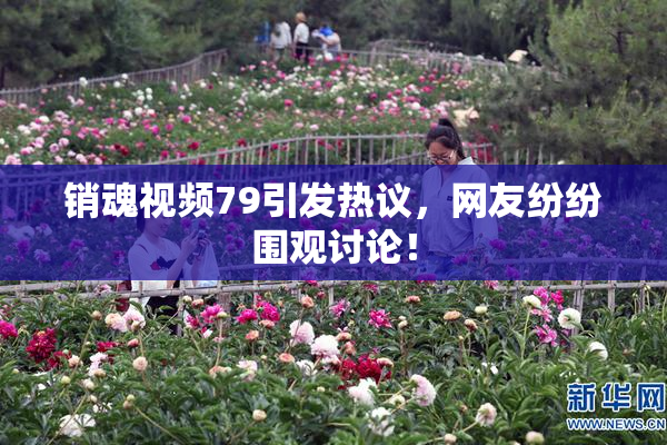 销魂视频79引发热议，网友纷纷围观讨论！