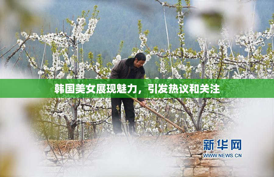 韩国美女展现魅力，引发热议和关注