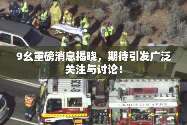 9幺重磅消息揭晓，期待引发广泛关注与讨论！